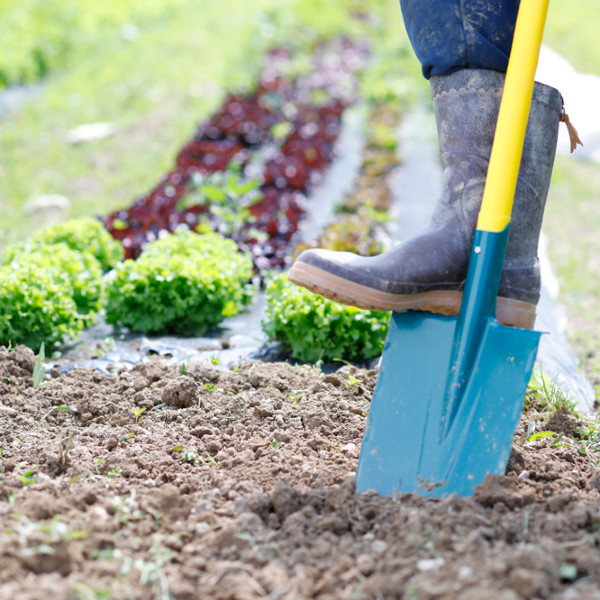 Travailler le sol Travailler le sol